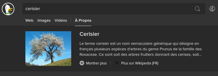 Fonctionnalité zero-click info sur duckduckgo