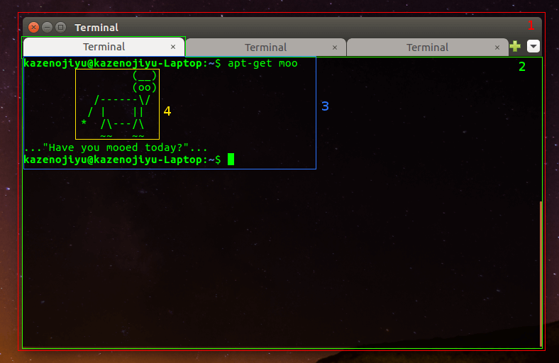 Terminal linux