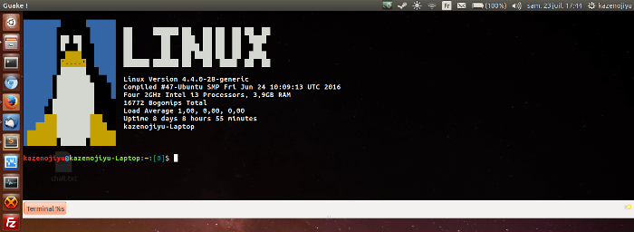 Terminal linux comme Quake (Guake)