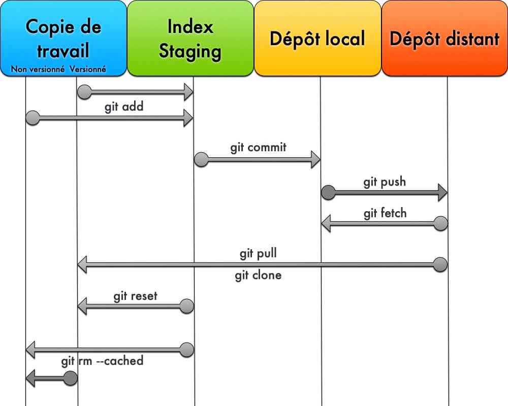 Différence entre git reset et git rm --cached